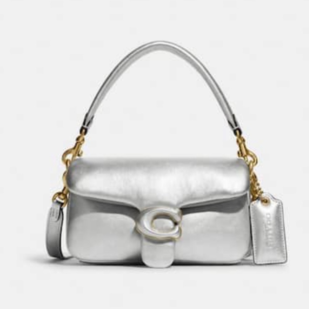 Silver Coach Pillow Tabby 18